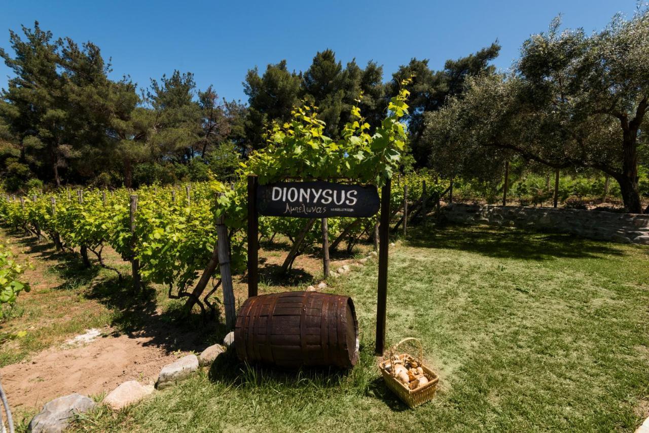 Dionysus Apartments & Suites Ierissós Eksteriør bilde
