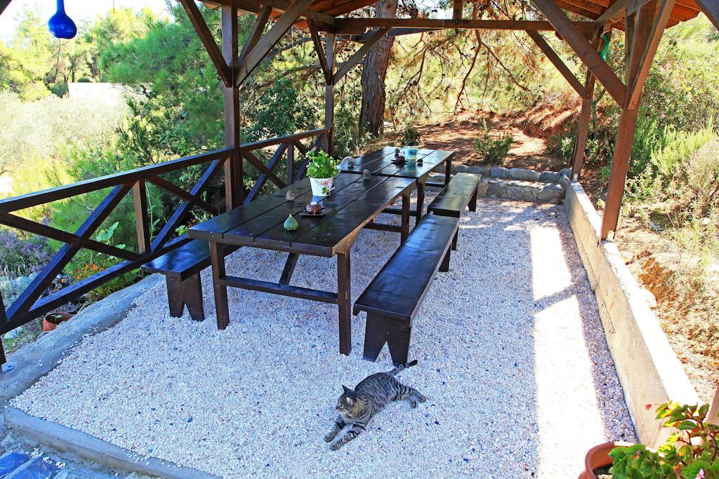 Dionysus Apartments & Suites Ierissós Eksteriør bilde